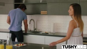 Pretty Babe Gets Fucked By Her Partner