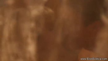 Flexible Anjanette Astoria gets cock in open pose